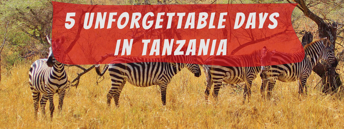 5 days safari in tanzania