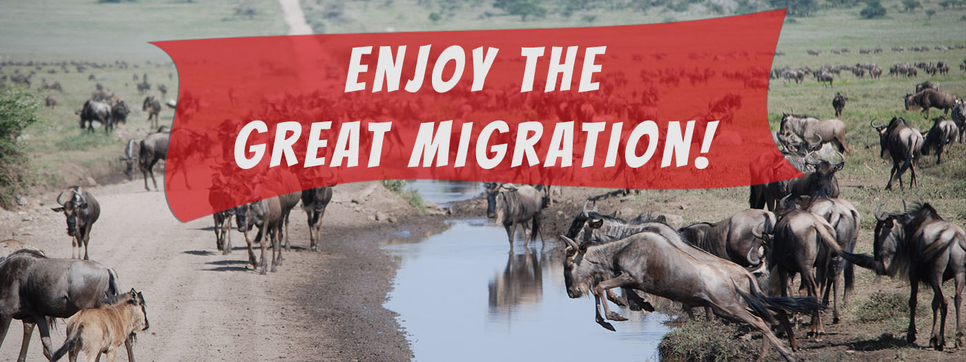 great migration tanzania
