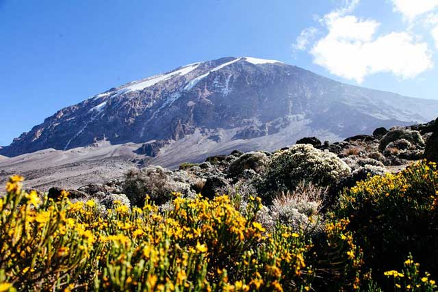 trekking sul Kilimanjaro