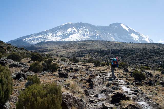 trekking kilimanjaro