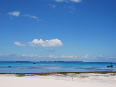 mare zanzibar