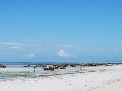 mare zanzibar