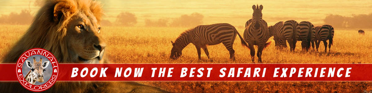 Prenota il tuo safari in Tanzania