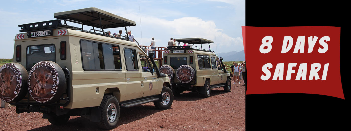 winter great migration tanzania