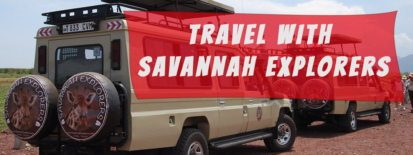 8 days tanzania safari