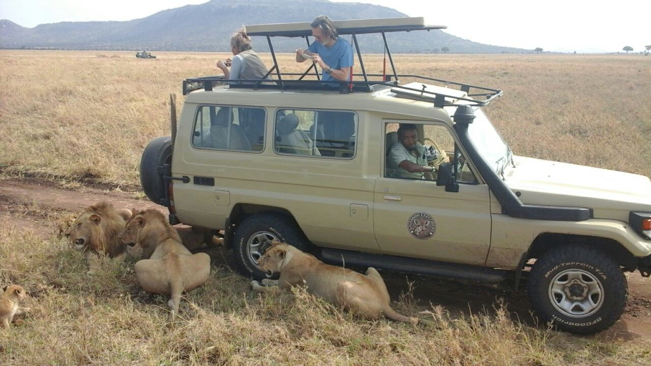 jeep and lions